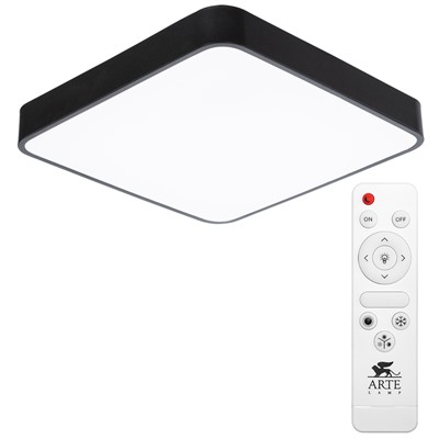 Потолочный светильник Arte Lamp SCENA A2663PL-1BK