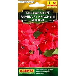 Бальзамин Афина F1 красный махровый (Код: 92387)