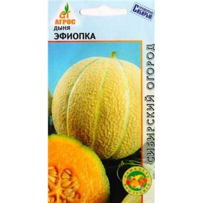 Дыня Эфиопка (Код: 88018)