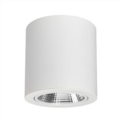 Светильник SP-FOCUS-R140-30W Day White (Arlight, IP20 Металл, 3 года)