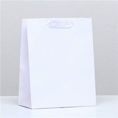 Пакет ламинированный «Белый», 18 х 23 х 10 см