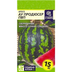 Арбуз Продюссер (Алтай)