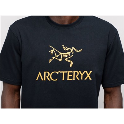 Футболка Arcteryx