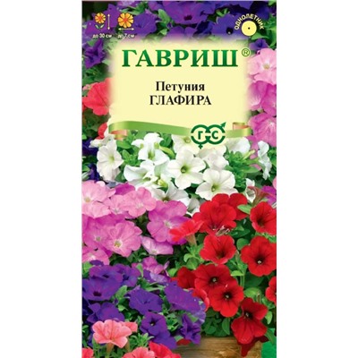 Петуния Глафира низкая (Гавр)