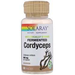 Solaray, Organic Grown Fermented Cordyceps, 500 mg, 60 VegCaps