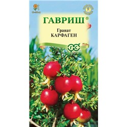 Гранат Карфаген карликовый (высота 60-100 см) (Гавр)