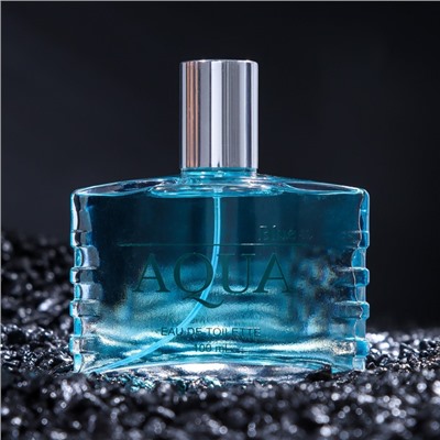 Туалетная вода мужская Aqua Blue, 100 мл (по мотивам Blue Label (Givenchy)