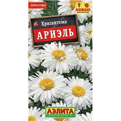 Хризантема Ариэль Мн (Аэлита)