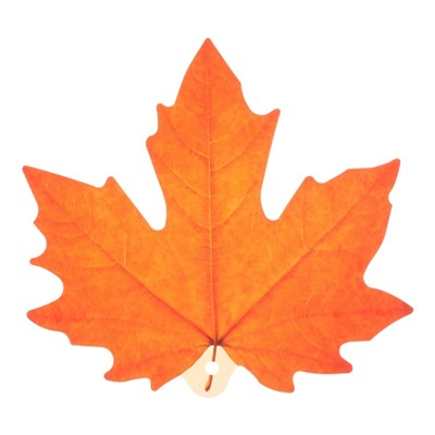 Набор украшений на скотче "Осенние листья" 10 штук, 14 х 22 см