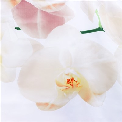 Штора для ванны Доляна «Орхидея над водой», 180×180 см