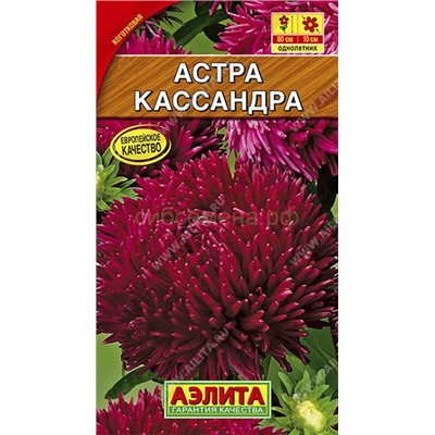 Астра Кассандра (Аэлита)