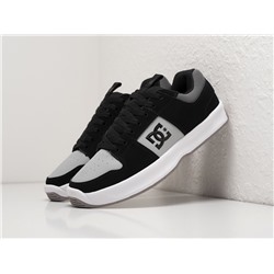 Кроссовки DC Shoes Lynx Zero