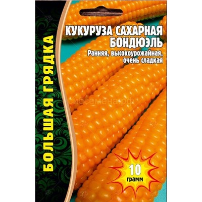 Кукуруза Бондюэль (Редкие)