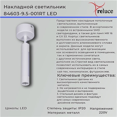 84603-9.5-001RT LED5W*2W WT светильник точ. поворотный