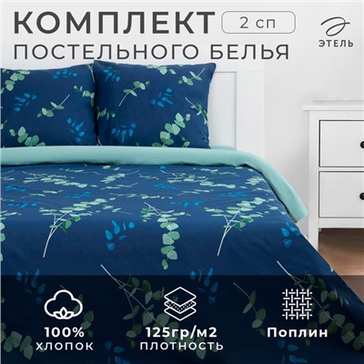 Постельное бельё Этель 2 сп «Эвкалипт» (вид 2) 175х215 см, 200х220 см,70х70 см -2 шт,поплин 125 г/м2