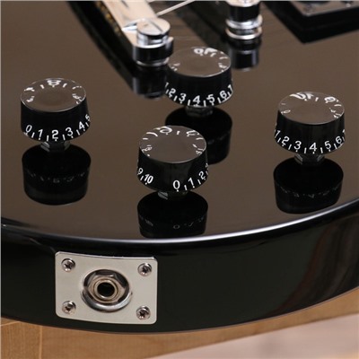 Электрогитара TERRIS TLP-039 BK Les Paul, HH, 2V2T, цвет черный