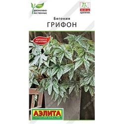 Бегония Грифон декоративно-лиственная (Аэлита)