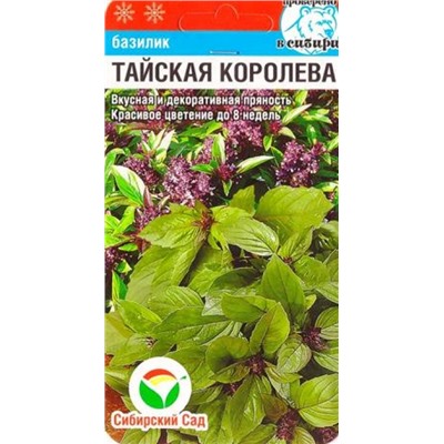 Базилик Тайская Королева (Код: 85047)