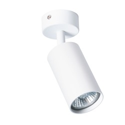 Спот Arte Lamp AQUARIUS A3216PL-1WH