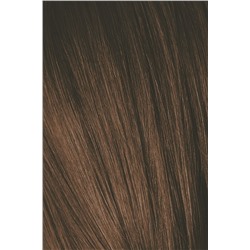 5-65 краска для волос Светлый коричневый шоколадный золотистый / Игора Роял 60 мл