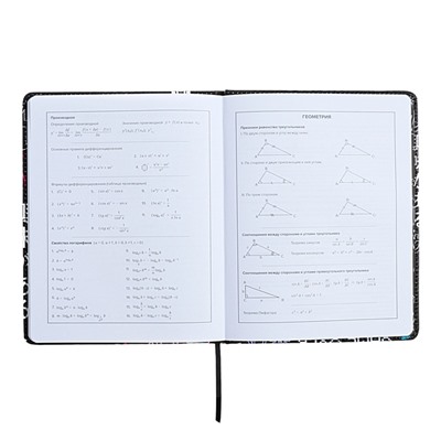 Дневник универсальный 1-11 класс, 48 листов "КИБЕРАНИМЕ", твёрдая обложка из искусственной кожи, ляссе, универсальная шпаргалка, блок 80 г/м2