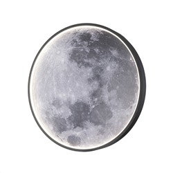 Настенно-потолочный светильник Escada 10226/SG LED*43W Moon