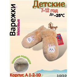 Детские варежки 1831906-1