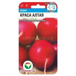 Редис Краса Алтая (Сиб сад)