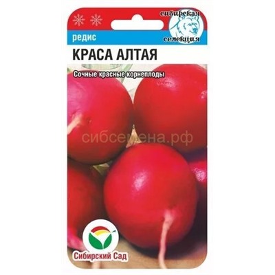 Редис Краса Алтая (Сиб сад)