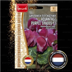 Цикламен Advantage Purple Shades F2 - Адвантаже Парпл (Редкие)