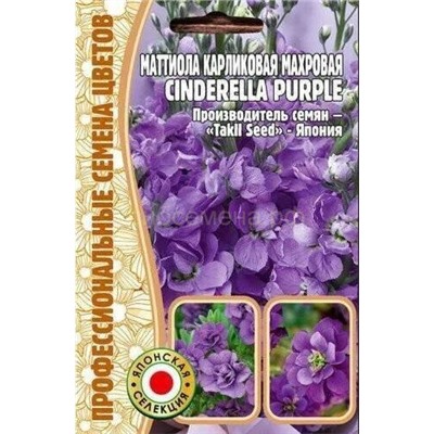 Маттиола Cinderella Purple - Синдерелла Парпл махр карлик (Редкие)