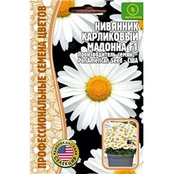 Нивянник Мадона карликовый (Редкие)