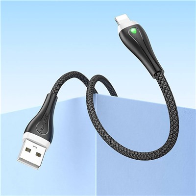 Кабель USB - Apple lightning Borofone BX100 Advantage  100см 2,4A  (black)
