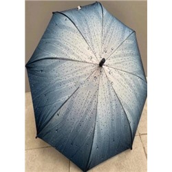 Зонт #21153512