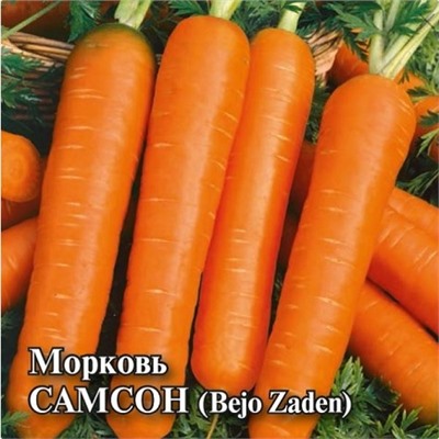 Морковь Самсон (10г) (Код: 88684)