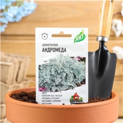 Семена цветов Цинерария приморская "Андромеда", О, 0,05 г  серия ХИТ х3