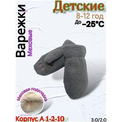 Детские варежки 1823942-3