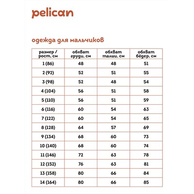 BFT3352/2U (Футболка для мальчика, Pelican Outlet )