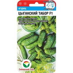 Огурец Цыганский табор (Сиб сад)