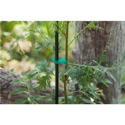 Тапенер для подвязки растений Tapetool «B», лента 25 м + скобы, Greengo