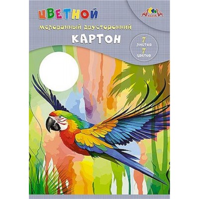 Набор цветного картона двустороннего А4 7л 7цв мелованного "Яркий попугай" папка С0260-16 АппликА
