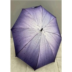 Зонт #21153509