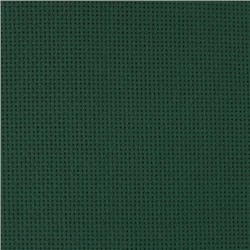 Канва арт 563 (сред.) зеленый (55кл*10см) шир.150см 426097 СК