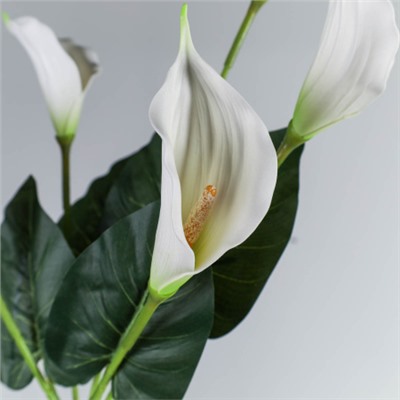 Цветок искусственный Калла букет 87 см / GT41-5-1 /уп 480/
