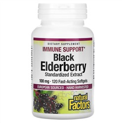 Natural Factors, Black Elderberry, 100 mg, 120 Capsules
