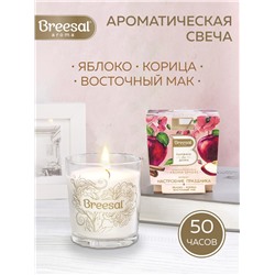 Breesal ароматическая свеча Aroma Sphere «Настроение праздника» 170г  (9)