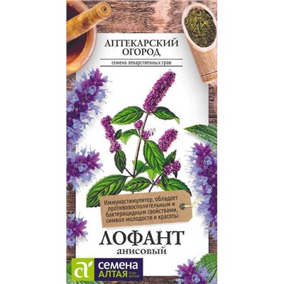 Лофант Анисовый (Алтай)