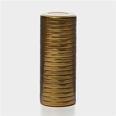 Набор крышек для консервирования, ТО-66 мм, металл, 20 шт, цвет золото