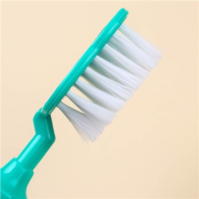 Набор расчёсок с погремушкой «Панда», 2 предмета: расчёска с зубчиками + щётка