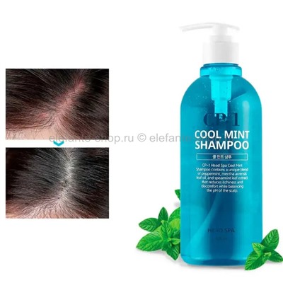 Шампунь от перхоти Esthetic House CP-1 Head Spa Cool Mint Shampoo 500ml (78)